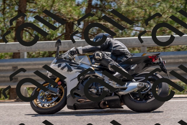 202508091500-DSC_3678_c4_