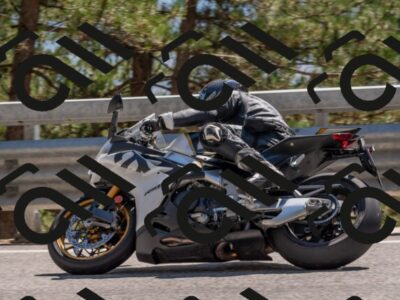 202508091500-DSC_3678_c4_