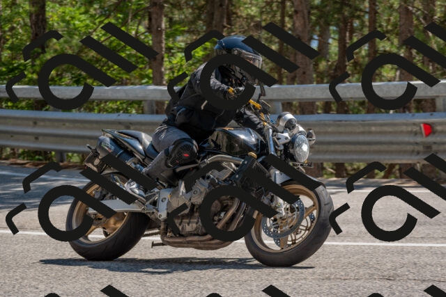 202508091500-DSC_3681_c4_