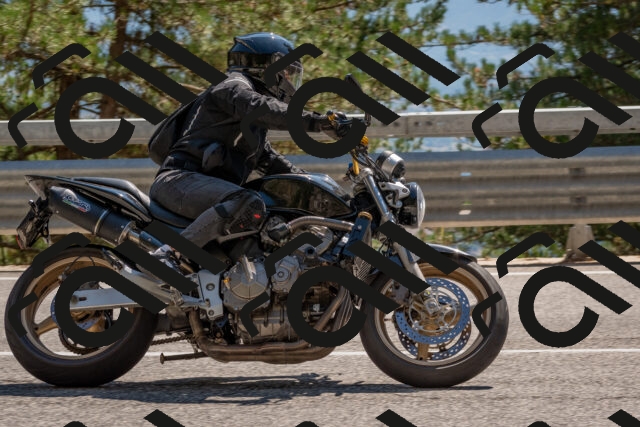 202508091500-DSC_3682_c4_