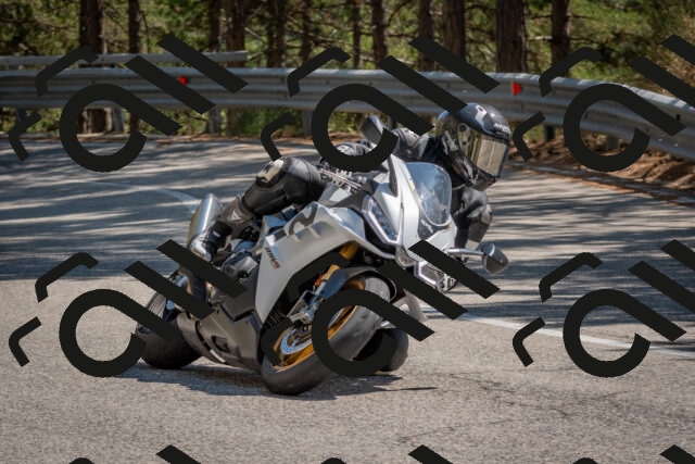 202508091501-DSC_3683_c4_