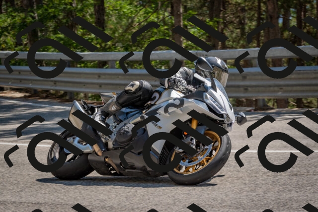 202508091501-DSC_3684_c4_