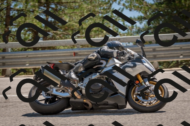 202508091501-DSC_3685_c4_