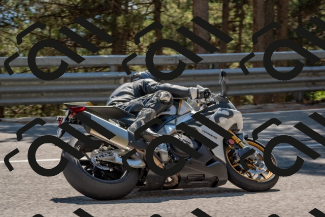 202508091501-DSC_3686_c4_