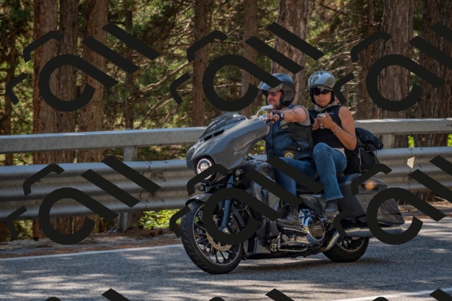 202508091504-DSC_3690_c4_