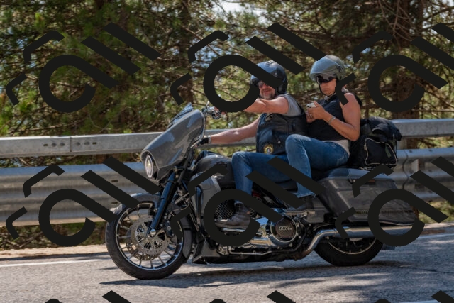 202508091504-DSC_3691_c4_