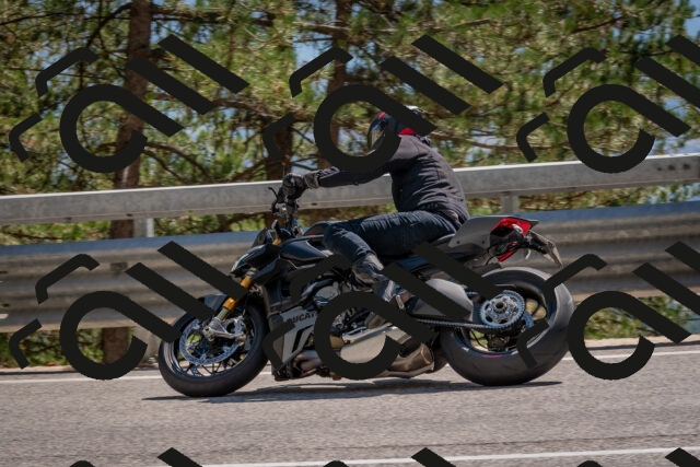 202508091505-DSC_3699_c4_