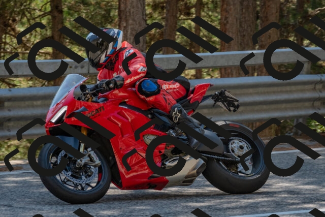 202508091505-DSC_3704_c4_