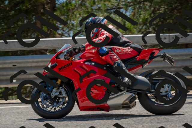 202508091505-DSC_3705_c4_