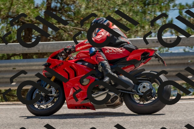 202508091505-DSC_3706_c4_