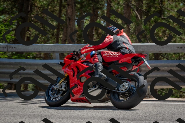 202508091505-DSC_3707_c4_