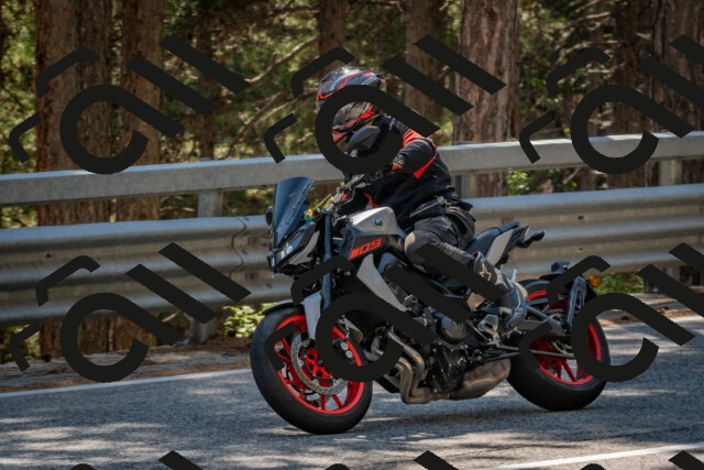 202508091507-DSC_3711_c4_