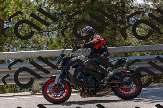 202508091507-DSC_3712_c4_