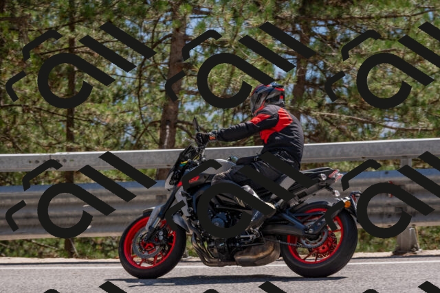 202508091507-DSC_3713_c4_