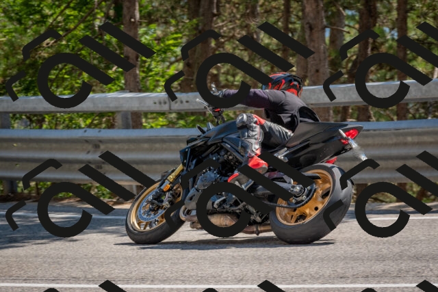 202508091507-DSC_3717_c4_