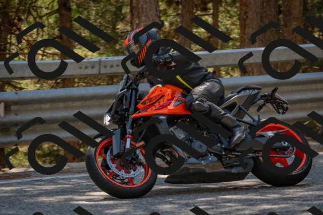 202508091507-DSC_3719_c4_