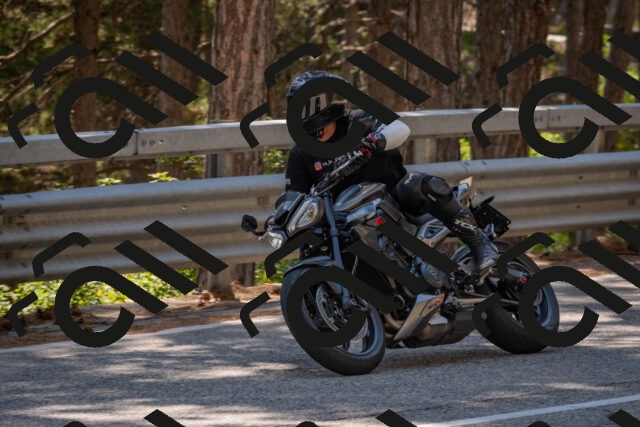 202508091507-DSC_3722_c4_