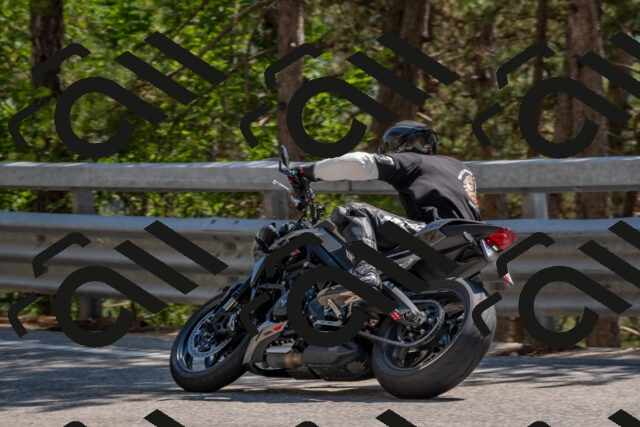 202508091507-DSC_3725_c4_