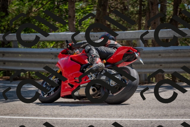 202508091508-DSC_3728_c4_