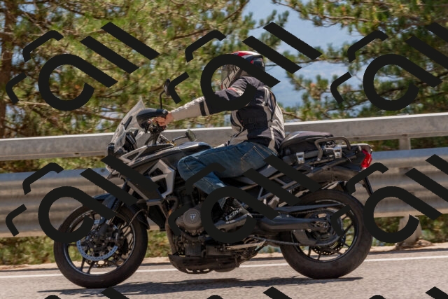 202508091509-DSC_3731_c4_