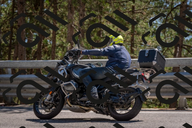 202508091509-DSC_3734_c4_