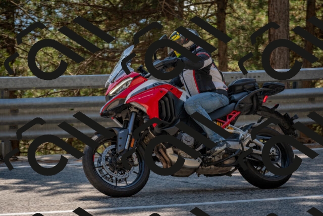 202508091509-DSC_3735_c4_