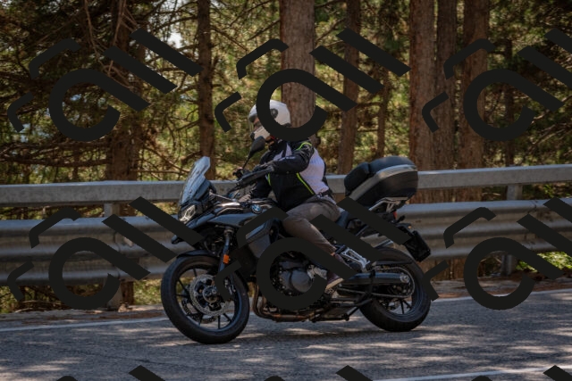 202508091509-DSC_3738_c4_