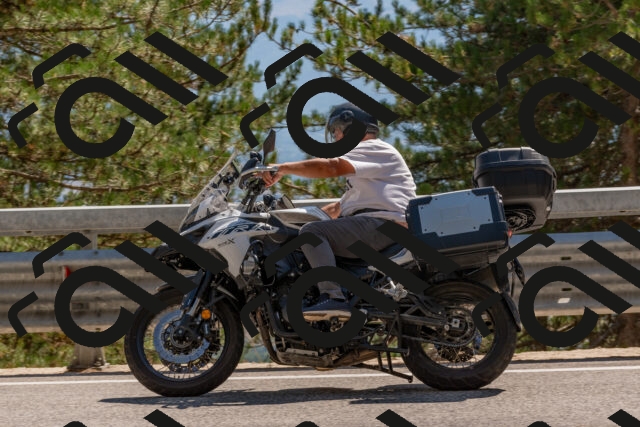 202508091511-DSC_3743_c4_