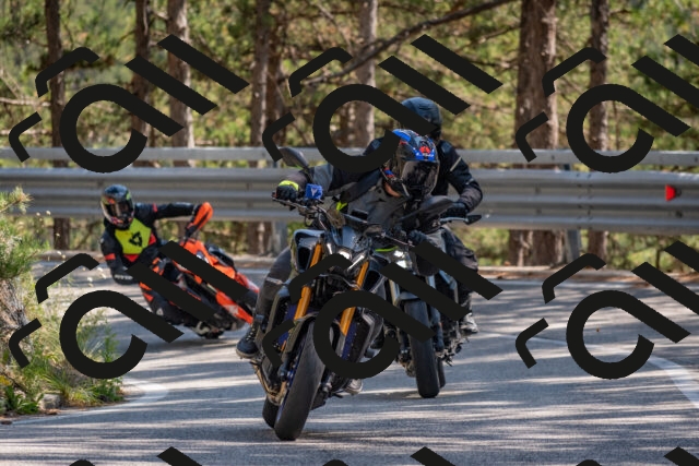 202508091512-DSC_3747_c4_