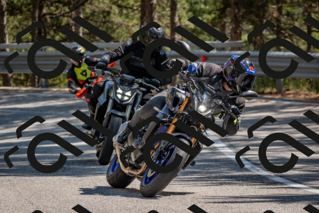 202508091512-DSC_3748_c4_