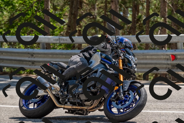 202508091512-DSC_3750_c4_