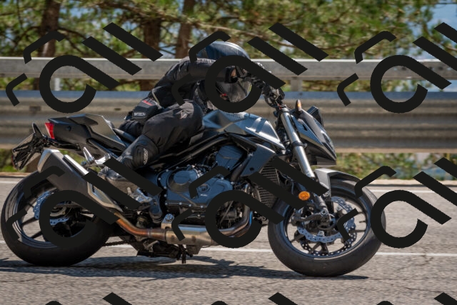 202508091512-DSC_3752_c4_