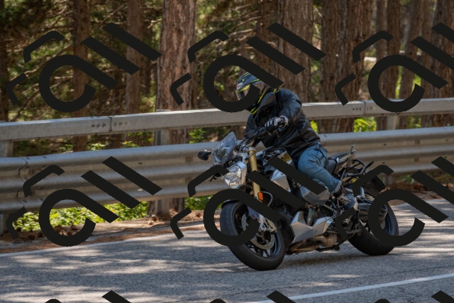 202508091513-DSC_3755_c4_