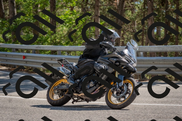 202508091513-DSC_3759_c4_