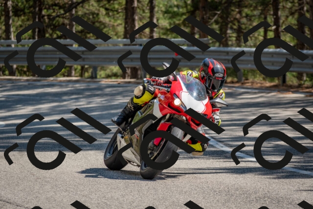 202508091513-DSC_3766_c4_