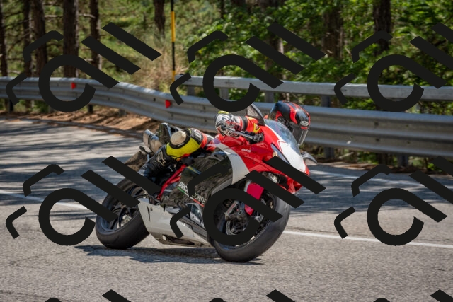 202508091513-DSC_3767_c4_