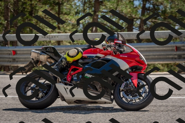 202508091513-DSC_3768_c4_