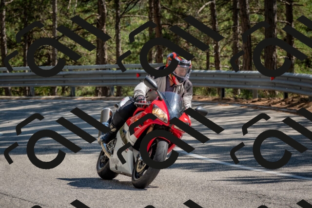 202508091517-DSC_3772_c4_