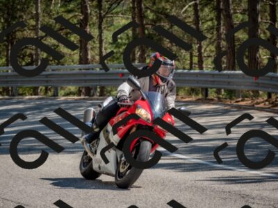 202508091517-DSC_3772_c4_