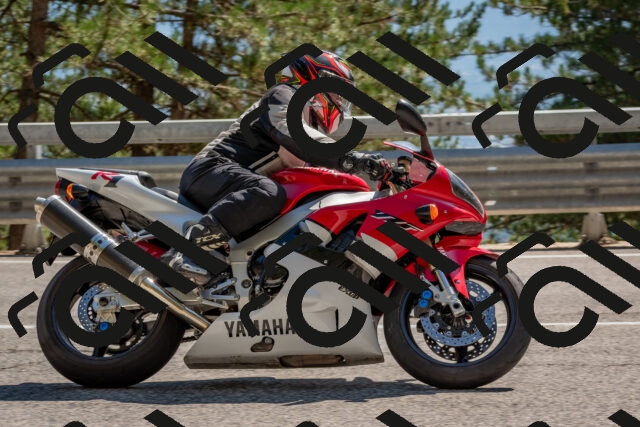 202508091517-DSC_3774_c4_