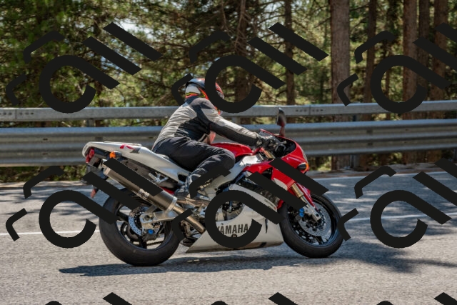 202508091517-DSC_3775_c4_