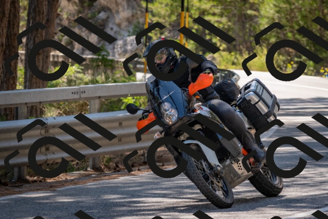 202508091518-DSC_3776_c4_