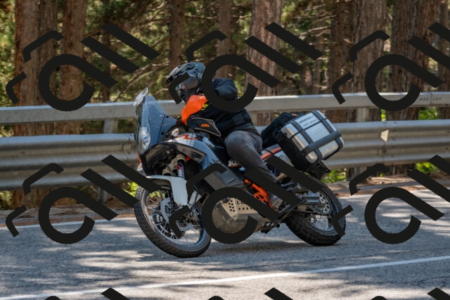 202508091518-DSC_3777_c4_