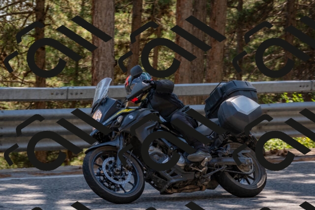 202508091518-DSC_3780_c4_