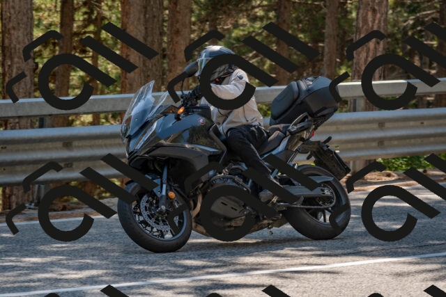 202508091518-DSC_3783_c4_