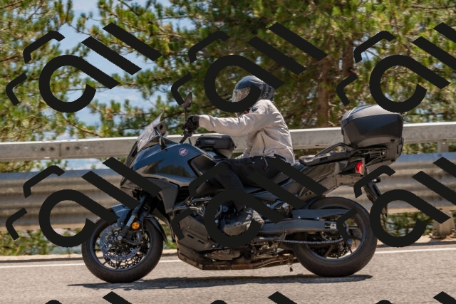 202508091518-DSC_3784_c4_