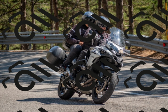 202508091518-DSC_3786_c4_