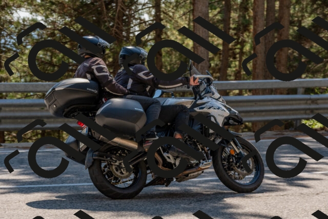 202508091518-DSC_3789_c4_