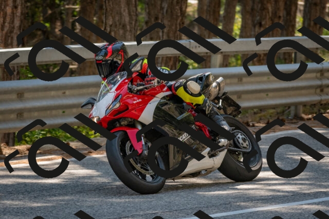 202508091519-DSC_3791_c4_