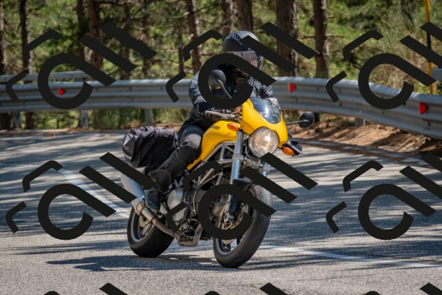 202508091519-DSC_3794_c4_